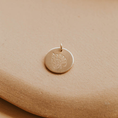 Monstera Charm